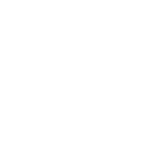 Continente Shopping